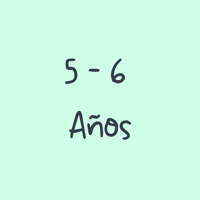 5 - 6 Años